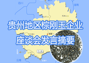 認清形勢 加強交流 調整結構 深化發展 貴州地區棕剛玉企業座談會發言摘要