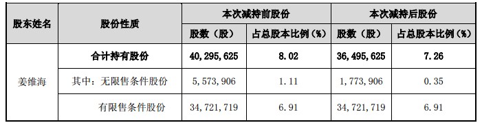 新大新材關于董事減持公司股份的提示性公告