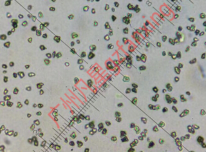 50納米100納米 納米金剛石 nanodiamond