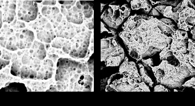 帝斯曼科學家?guī)懔私猓?新一代智能手機外殼發(fā)展趨勢