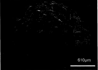 一種離心干燥造粒技術(shù)制備陶瓷結(jié)合劑堆積磨料的方法